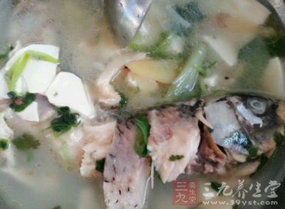 鲫魚的營養價值十分豐富