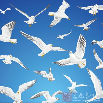 中成藥烏雞白鳳丸中的白鳳