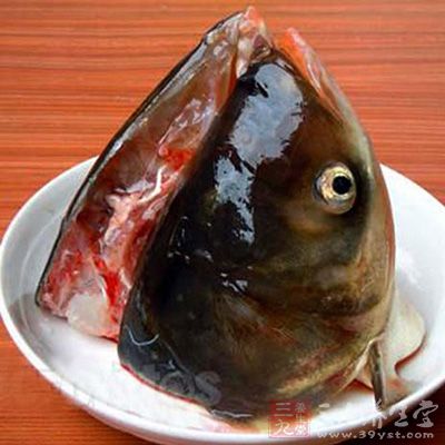 胖頭魚頭營養價值 胖頭魚頭營養價值