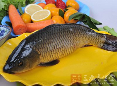 原料:鯉魚1條,雞蛋1個,小麥面粉2大勺,花生油適量,食鹽1勺半,蒜8瓣,生抽1小勺 原料:鯉魚1條,雞蛋1個,小麥面粉2大勺,花生油適量,食鹽1勺半,蒜8瓣,生抽1小勺