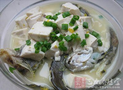 鲶魚炖豆腐是正宗的東北菜，是屬於魯菜菜系的