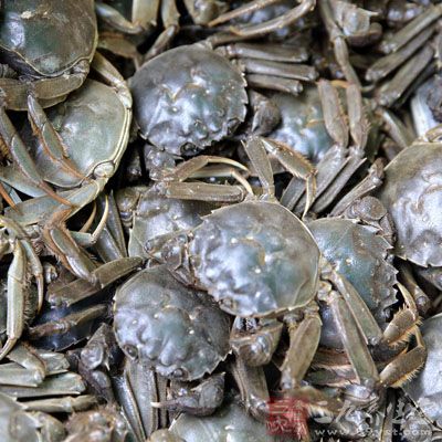 將河蟹放入清水中吐淨污物