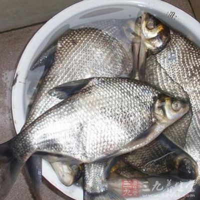 鳊魚有補虛損，益精氣，潤肺補腎的作用