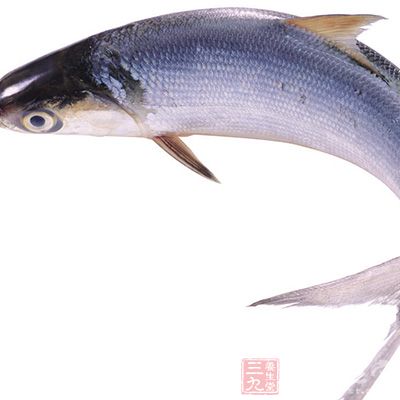 新鮮鯉魚處理干淨,切成寬約3—4厘米的段狀,淋干水分備用 新鮮鯉魚處理干淨,切成寬約3—4厘米的段狀,淋干水分備用