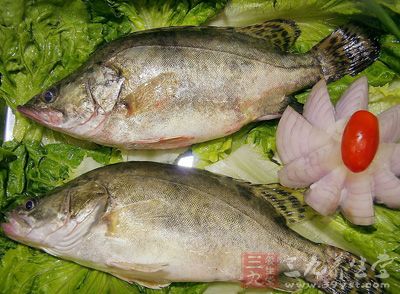 桂魚又稱鳜魚、鳌花魚，是較為名貴的一種淡水魚