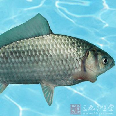 魚一定要鮮活的,腹內黑膜一定要去干淨 魚一定要鮮活的,腹內黑膜一定要去干淨