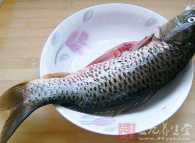 首先是准備好一條新鮮的鯉魚，大小適中