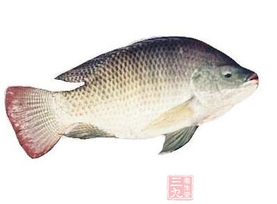 肉質要有彈性 肉質要有彈性