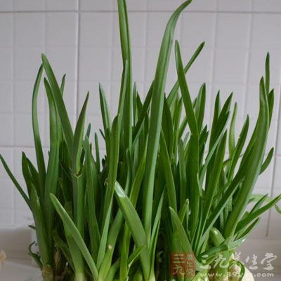 鍋中倒入15克油燒熱,放蒜苗、辣椒拌均勻,再放臘肉及味精、糖、酒、清水,用大火快速翻炒 鍋中倒入15克油燒熱,放蒜苗、辣椒拌均勻,再放臘肉及味精、糖、酒、清水,用大火快速翻炒