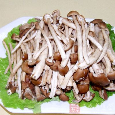 注意:茶樹菇就是所謂的柳松菇,茶樹菇本身它可以促進新陳代謝的作用很強 注意:茶樹菇就是所謂的柳松菇,茶樹菇本身它可以促進新陳代謝的作用很強