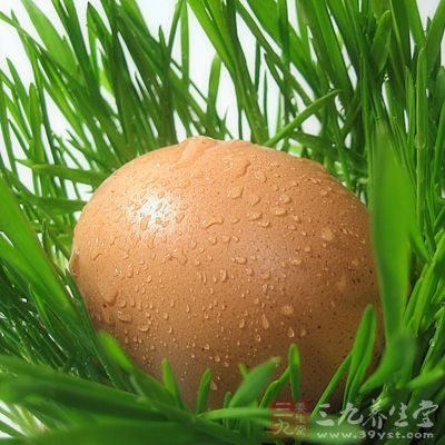 雞蛋吃法多種多樣，就營養的吸收和消化率來講，煮蛋為100%