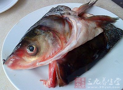 鲢魚是一種很常見的魚，鲢魚頭的口感極好，不僅肉質嫩滑，而且營養價值也很高