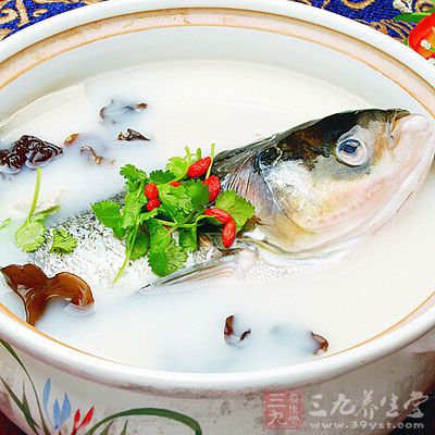 鲢魚頭湯的做法