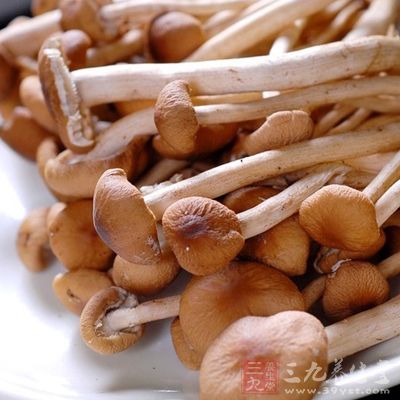 烹入老抽、入茶樹菇保持大火翻炒30秒左右