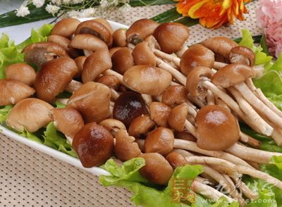 材料：瘦肉一小塊、茶樹菇七兩、香菜半棵、蒜半個