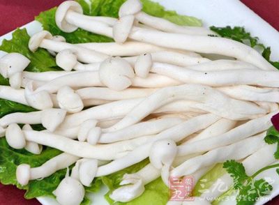 材料:海鮮菇,西蘭花,腐乳汁(量隨意) 材料:海鮮菇,西蘭花,腐乳汁(量隨意)