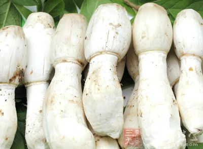原料:五花肉250克,雞腿菇1根,胡蘿卜1根,調和油,食鹽,薯粉,海天醬 原料:五花肉250克,雞腿菇1根,胡蘿卜1根,調和油,食鹽,薯粉,海天醬