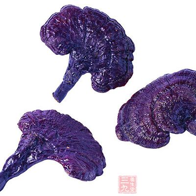 紫靈芝不僅有直接降血糖作用 紫靈芝不僅有直接降血糖作用