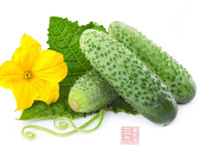 黃瓜,葫蘆科黃瓜屬植物 黃瓜,葫蘆科黃瓜屬植物