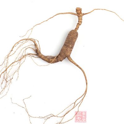 參能大補元氣