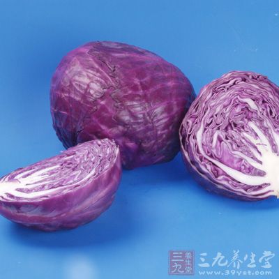 紫甘藍富含多種營養元素，包含是人體不可或缺的營養成分