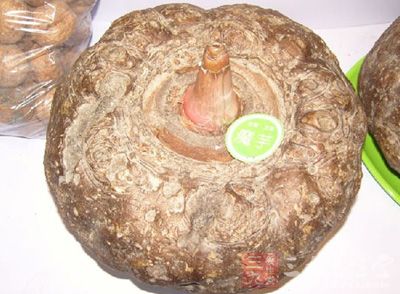魔芋是多年生塊莖植物，口感細軟，綿甜香糯
