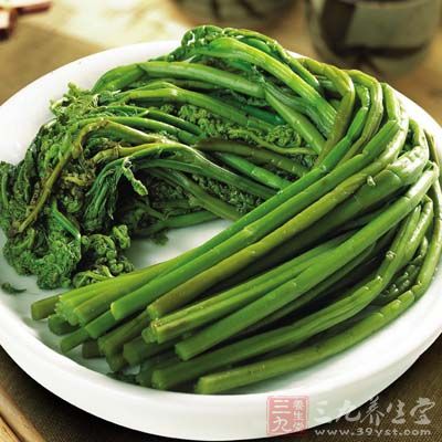 蕨菜的營養價值