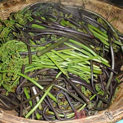 蕨菜的營養價值