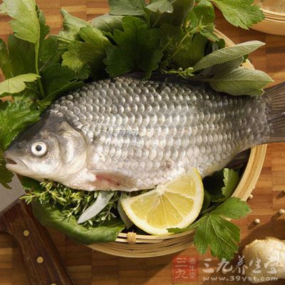 起鍋把油燒熱後,把鲫魚放進鍋裡,兩面略煎後,倒進三湯匙的料酒再下姜片,然後加4-5碗開水 起鍋把油燒熱後,把鲫魚放進鍋裡,兩面略煎後,倒進三湯匙的料酒再下姜片,然後加4-5碗開水