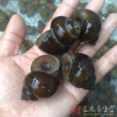 田螺是比較難消化的食物，每次淺嘗即可