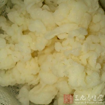 雪蓮菌能夠增強人體機能抵抗力