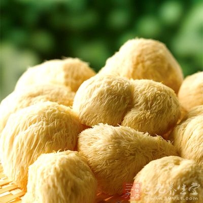 猴頭菇具有很好的使用功效，具有營養與藥用的結合