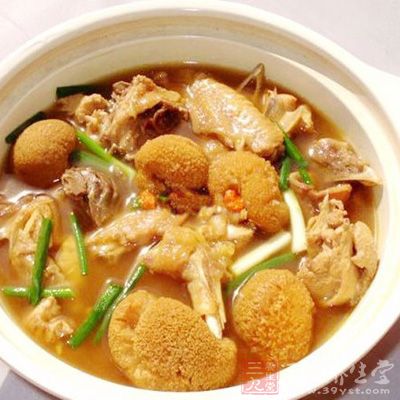 猴頭菇與雞肉共煮食能養血益氣