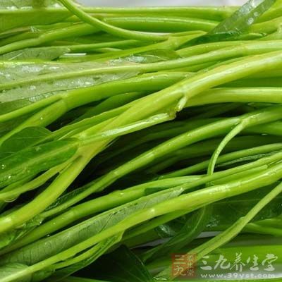 空心菜不耐久放，如想保存較長的時間