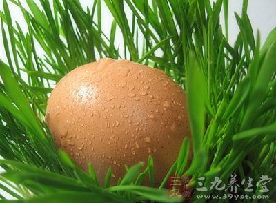 新鮮的雞蛋一個