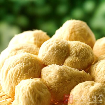 猴頭菇具有健胃，補虛，抗癌，益腎精之功效