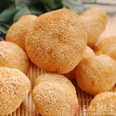 猴頭菇具有很好的使用功效，具有營養與藥用的結合