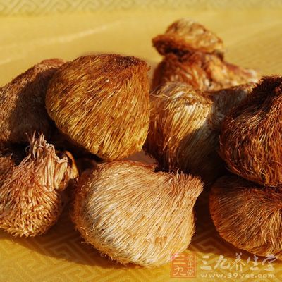 猴頭菇中含有多種氨基酸和豐富的多糖體