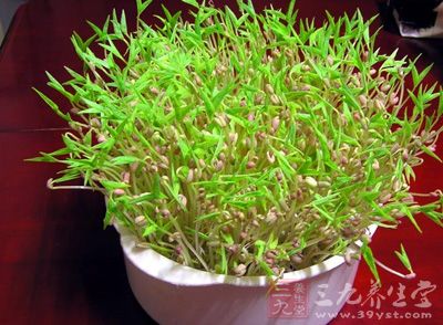 綠豆芽,即綠豆的芽,為豆科植物綠豆的種子經浸泡後發出的嫩芽 綠豆芽,即綠豆的芽,為豆科植物綠豆的種子經浸泡後發出的嫩芽