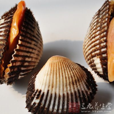 蛤蜊的營養價值及功效