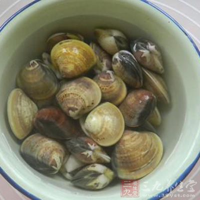 文蛤提前用淡鹽水浸泡2小時