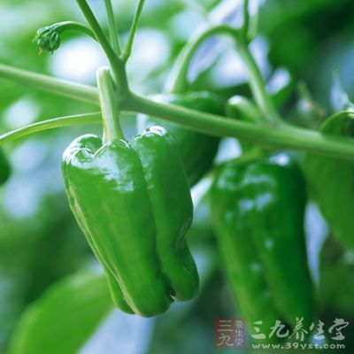 辣椒具有強烈的促進血液循環的作用，可以改善怕冷、凍傷、血管性頭痛等症狀