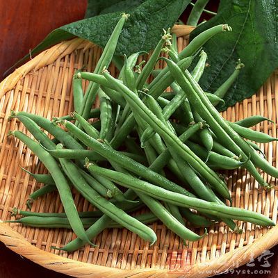 四季豆性甘、淡、微溫，歸脾、胃經;化濕而不燥烈，健脾而不滯膩