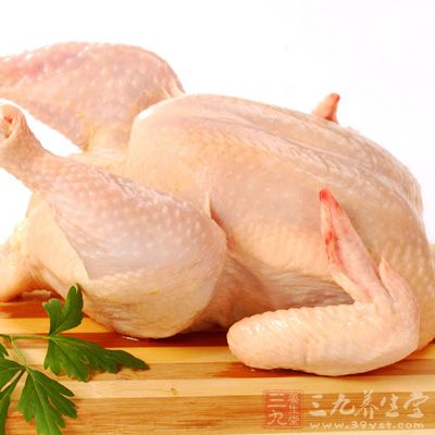 淨肥嫩雛母雞1只