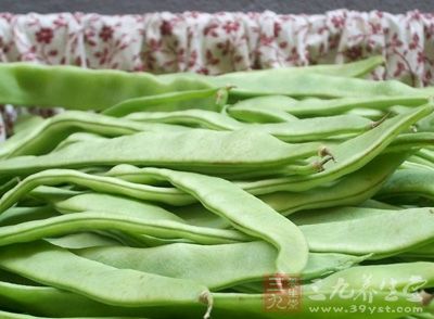 油豆角含有較高的蛋白質，它的氨基酸組成及比例也比較合理