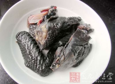 需要烏雞一只