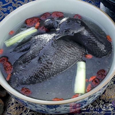烏雞是藥食同源的保健佳品