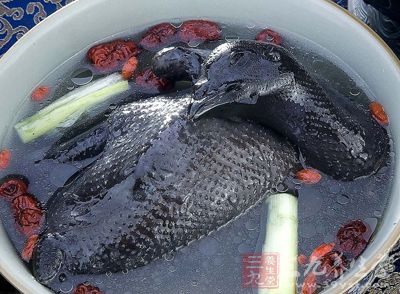 烏雞湯是廣東省傳統的漢族名菜