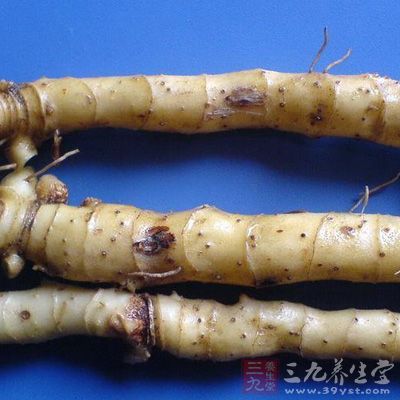 將玉竹洗淨，切成節