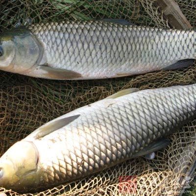 將草魚去內髒清洗干淨